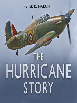 cover image of The Hurricane Story